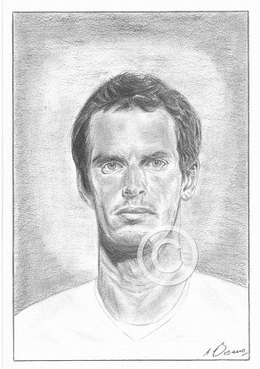 Andy Murray Pencil Portrait