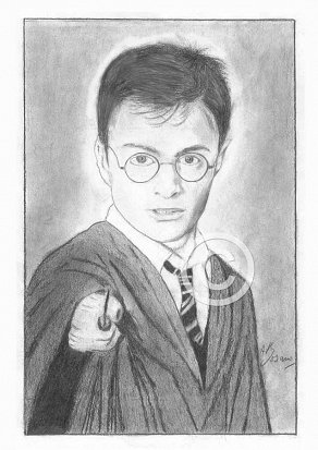 Daniel Radcliffe Pencil Portrait