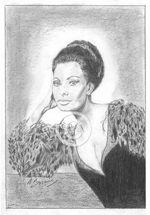 Sophia Loren Pencil Portrait